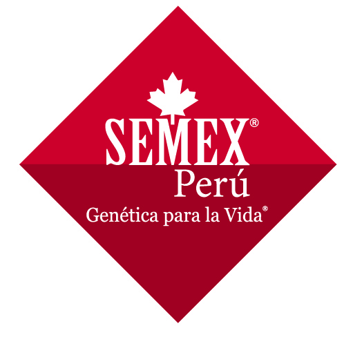 Semex Perú